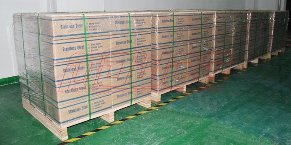Wing Seals Packing